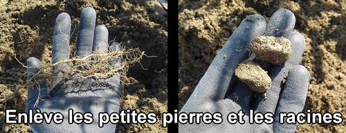 Enlève les petites pierres et les racines