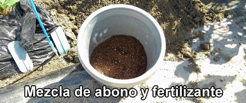 Fertilizante para el repollo y el brócoli (El mejor fertilizante para el brócoli y el repollo)