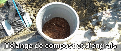 Engrais pour chou vert frisé et brocoli (Le meilleur engrais pour le brocoli et le chou vert frisé)