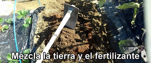 Mezcla la tierra y el fertilizante