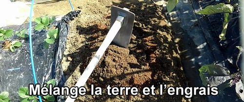 Mélange la terre et l’engrais