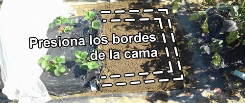 Presiona los bordes de la cama