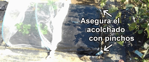 Asegura el acolchado con pinchos