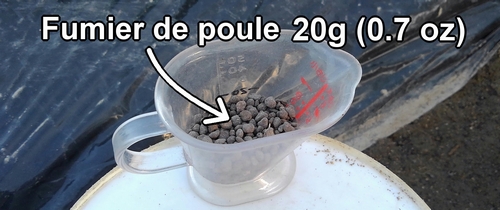 Utilise 20g (0.7 oz) de fumier de poule pour ajouter de l’engrais au chou (chou cabus) et au brocolini (brocoli bimi)