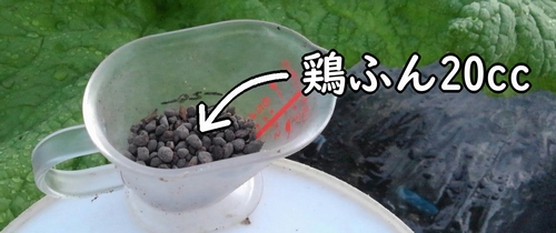 のらぼう菜の追肥に使う鶏糞