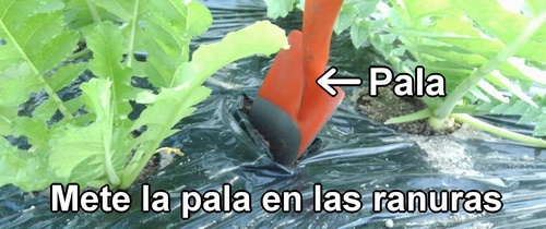 Mete la palita en las ranuras del mantillo