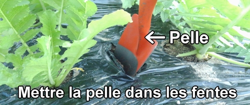Mettre la petite pelle dans les fentes du paillis