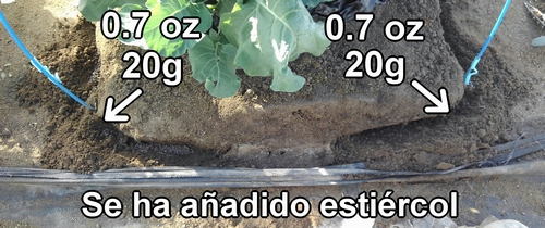 Agrega 20g (0.7 oz) de estiércol de pollo en cada lugar como abono extra