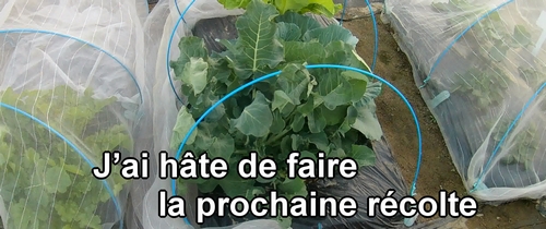 J’ai hâte de faire la prochaine récolte