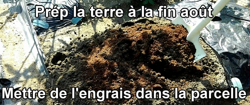 Nous avons préparé la terre pour le chou (chou cabus) à la fin du mois d’août