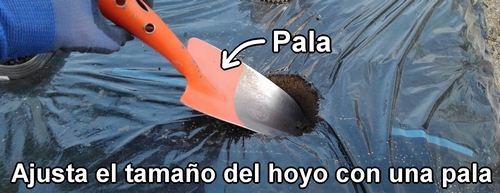 Ajusta el tamaño del hoyo con una palita