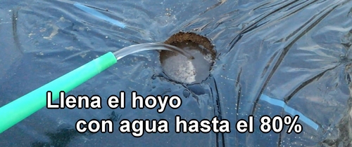 Llena el hoyo con agua hasta el 80%