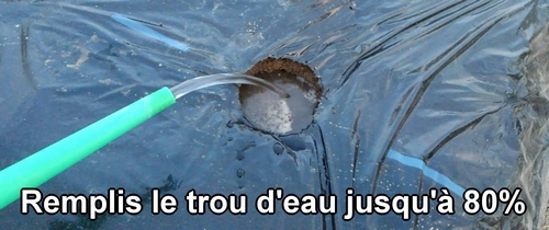 Remplis le trou d'eau jusqu'à 80%