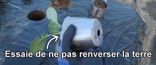 Retourne le pot de brocoli