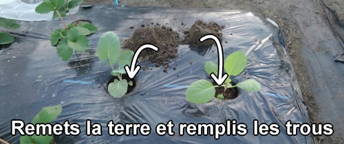 Remets la terre et remplis les trous