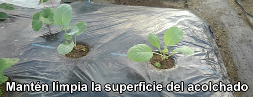 Mantén limpia la superficie del acolchado