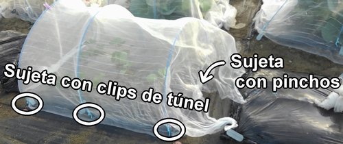 Sujeta la malla para insectos con estacas en forma de U y clips de túnel