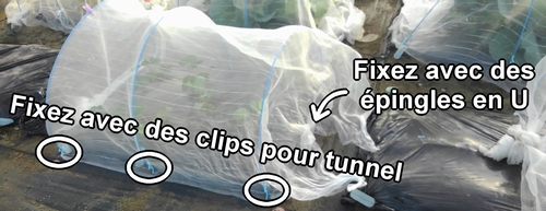 Fixez la moustiquaire avec des épingles en U et des clips pour tunnel