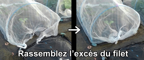 Rassemblez l’excès du filet anti-insectes