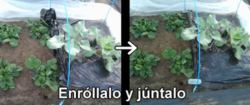 Enróllalo y júntalo