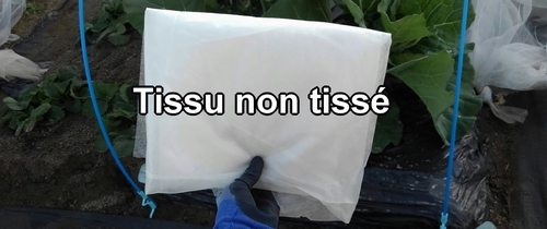 Tissu non tissé