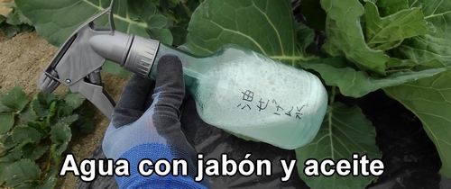 Agua con jabón y aceite