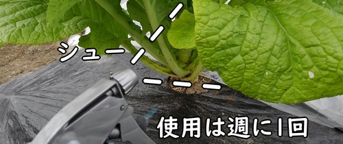 週に1回程度、野菜に吹きかける