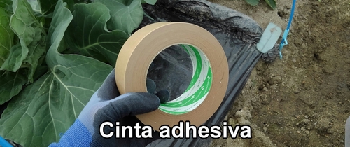 Cinta adhesiva