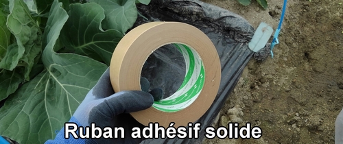 Ruban adhésif solide (ou ruban américain)