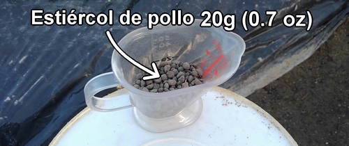 Estiércol de pollo usado como fertilizante extra para el brócoli y la col (col repollo) de primavera