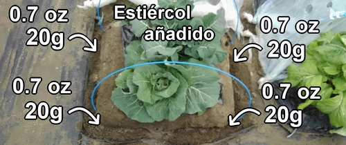 Se ha añadido estiércol de pollo en todos los lugares de fertilización