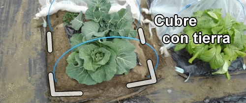 Cubre con tierra