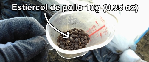 Los 10g (0.35 oz) de estiércol de pollo usados para la fertilización extra de las fresas (frutilla)
