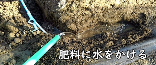 肥料に水をかける