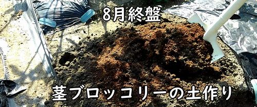 茎ブロッコリーの土作り