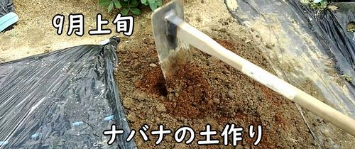 ナバナの土作り