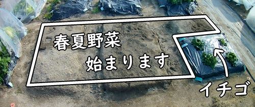 秋冬野菜が終了した畑