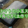 ミニトマトと小玉スイカの育て方（牛糞堆肥や鶏糞など、有機肥料を使った土作り）