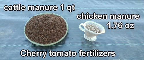 Best organic fertilizer for cherry tomatoes