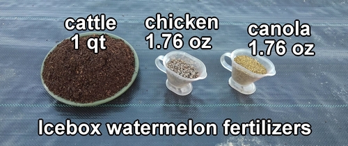 Best organic fertilizer for watermelon