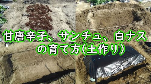 甘唐辛子、サンチュ、白ナスの土作り（牛糞堆肥や鶏糞を使用）