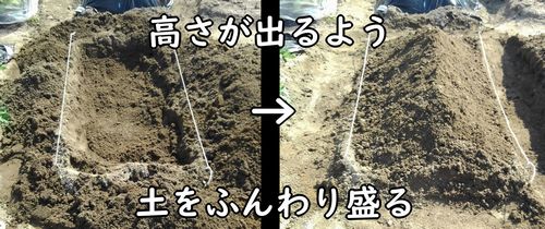 掘った土を戻して畝を立てる