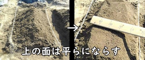 畝の上面を平らにする