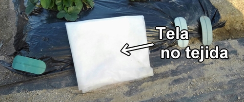 El material del tapete para las fresas es tela no tejida