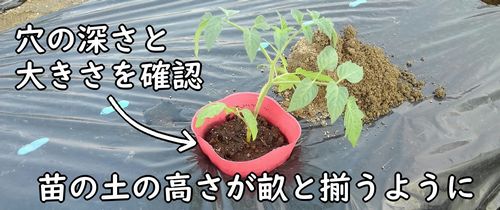 穴の深さと大きさを確認