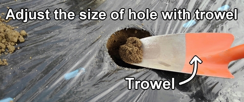 Adjust the size of the hole with a trowel