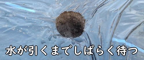 水が引くまでしばらく待つ