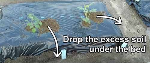 Any excess soil from planting seedlings should be dropped beneath the bed