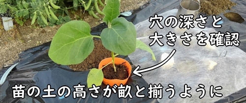 穴の深さと大きさを確認