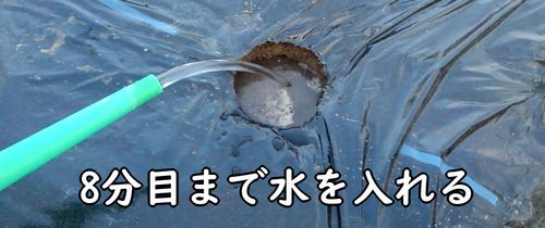 あけた穴に水を入れる